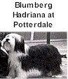 Blumerg Hadriana at Potterdale, Mutter von Diamond